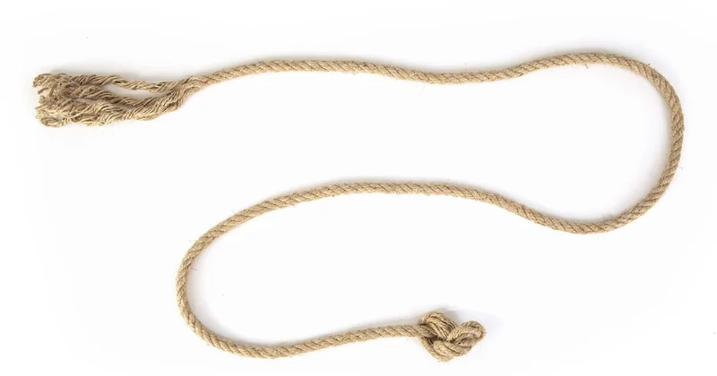 Quels sont les objets connectés les plus utilisés ?